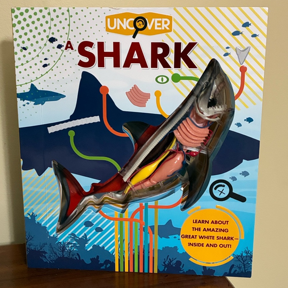 Uncover Shark (3D shark model)